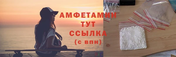шишки Алзамай