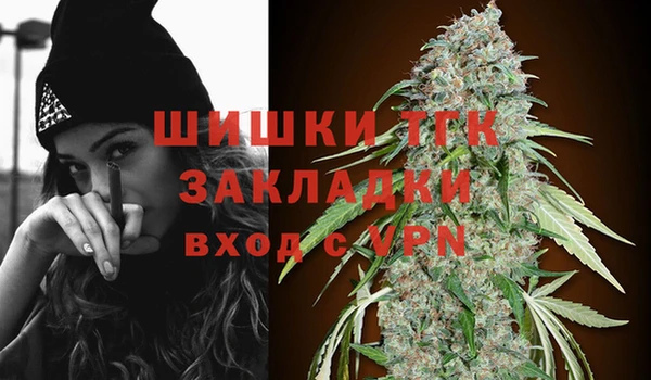 шишки Алзамай