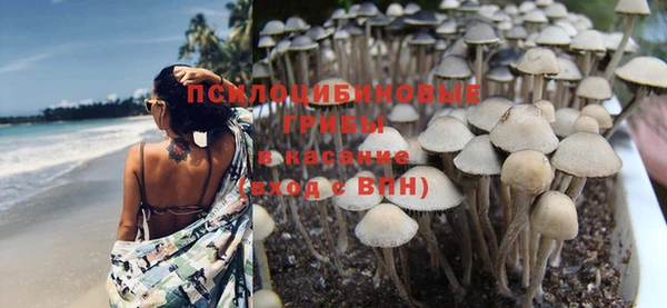 ГАЛЛЮЦИНОГЕННЫЕ ГРИБЫ Абаза