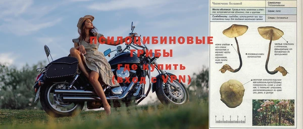 трава Алексин