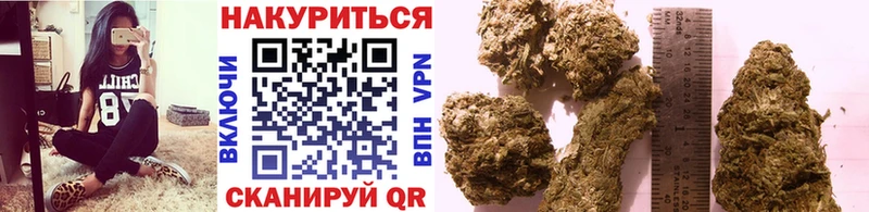 Шишки марихуана марихуана  цена   Северская 